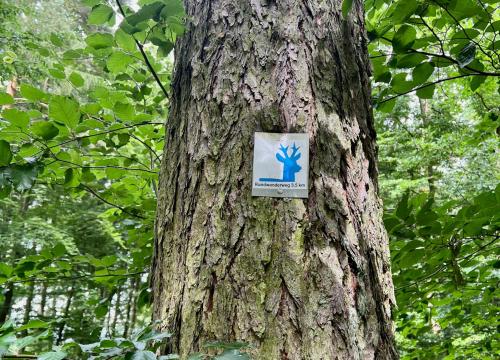 a sign on the side of a tree at TÜRMERSTUBE - Scandi Style - in der historischen Hinterburg Schlitz - nahe Fulda in Schlitz