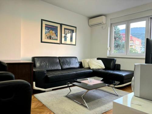 Millenium Cross view FREE Parking 1 BR apt 10 min from city center