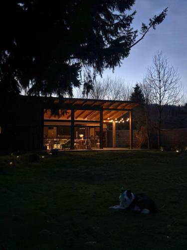 a cat laying in the grass in front of a house at Rest in the mountains in El Bolsón
