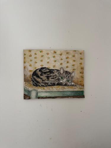 a cat laying on top of a bench at The Rose & Pearl Retreat in Ballintober