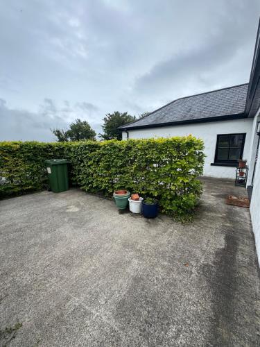 a group of potted plants in front of a hedge at The Rose & Pearl Retreat in Ballintober