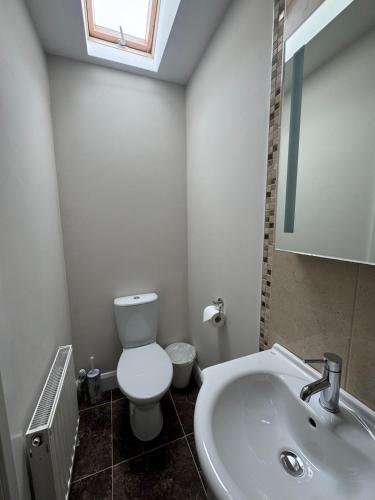a bathroom with a white toilet and a sink at The Rose & Pearl Retreat in Ballintober