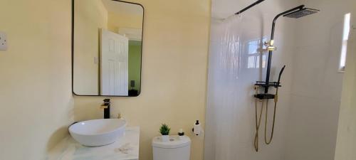 a bathroom with a sink and a mirror at Oceanview Suites in Saint Georgeʼs