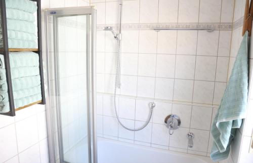 a shower with a glass door in a bathroom at Ferienglück Rosenheim in Rosenheim