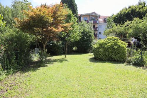 a garden with a tree and a building in the background at Ferienglück Rosenheim in Rosenheim