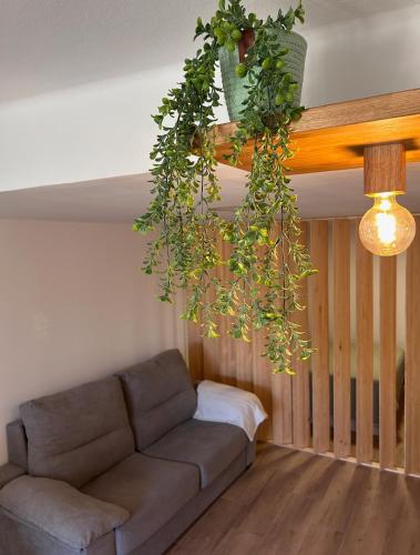 a living room with a couch and a hanging plant at Can Sablet in Horta de San Joan