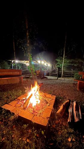a fire pit in a park at night at Casa Lacului in Malaia