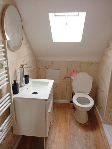 a bathroom with a toilet and a sink and a mirror at centre ville confortable in Gourin