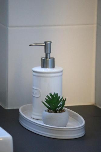 a soap dispenser with a potted plant on a table at Chalfont Haven 