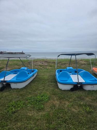 two blue and white boats sitting on the grass at Hunts Point 2-BR Oceanview Rustic Coastal Retreat in Summerville Centre