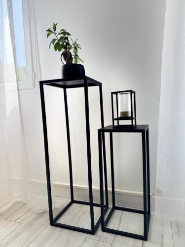 two black side tables in a room with a plant at LA PROVENCE fantastic apartment 75m2 Big pool private parking top location in Le Pontet