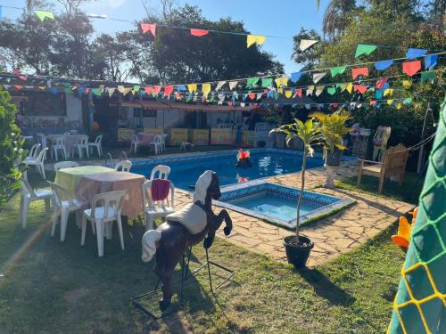 a toy dog standing in front of a swimming pool at Chácara do vovô kiko in Santana de Parnaíba