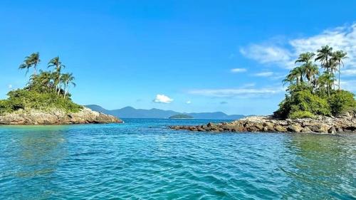 an island with palm trees in the water at Carneiro's House in Praia de Araçatiba