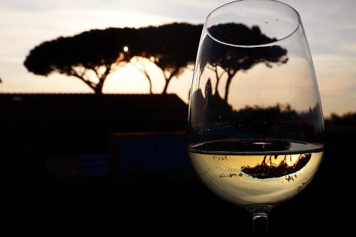 Podere San Giuseppeで提供されているドリンク
