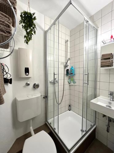 a bathroom with a shower and a toilet and a sink at Stilvolle 2 Zimmerwohnung in Fellbach