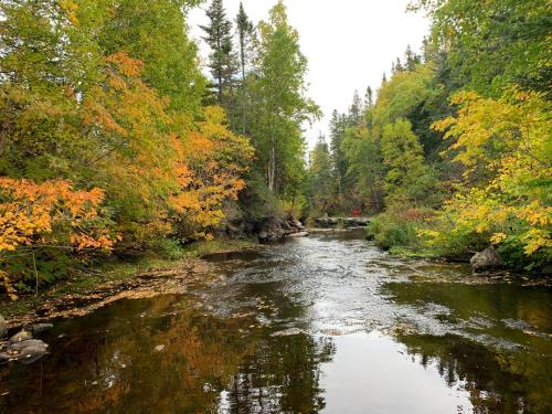 a river in the middle of a forest at Rocky Brook Acres, Andy in Bélanger