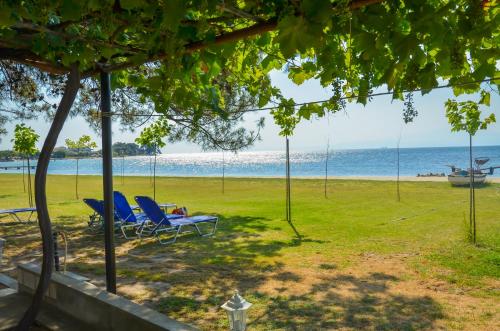 Gallery image of Studios Avra in Skala Rachoniou