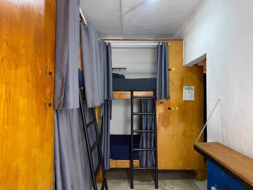 Litera o literas de una habitación en Maui Hostels Playa del Carmen