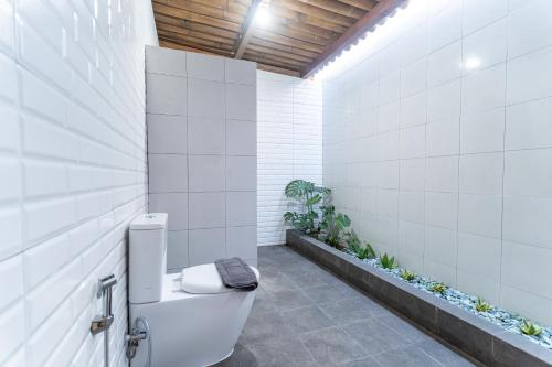 a bathroom with a toilet in a white wall at Benabilla Cottage 