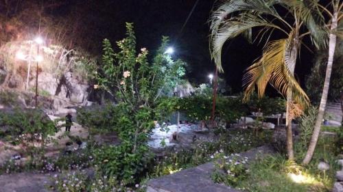 a garden at night with a palm tree and lights at Glamping Machupicchu Lodge in Santa Teresa