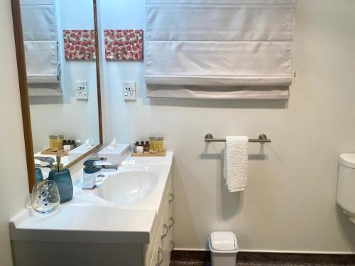 a white bathroom with a sink and a toilet at Heritage Park Lodge in Haast