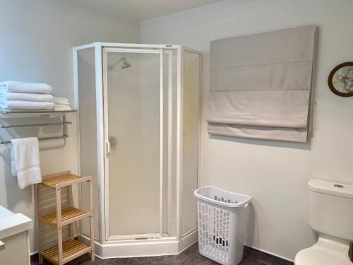 a bathroom with a shower and a toilet and towels at Heritage Park Lodge in Haast