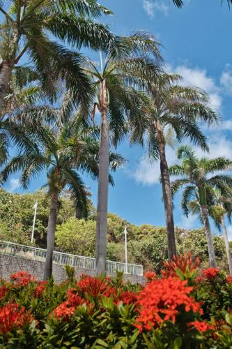 a group of palm trees in a garden with flowers at JW Marriott St Maarten Beach Resort & Spa in Dawn Beach