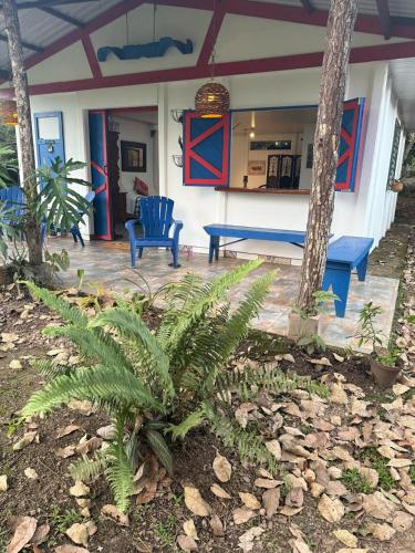 a patio with two blue chairs and a table at Jicote cabañas in Paraíso