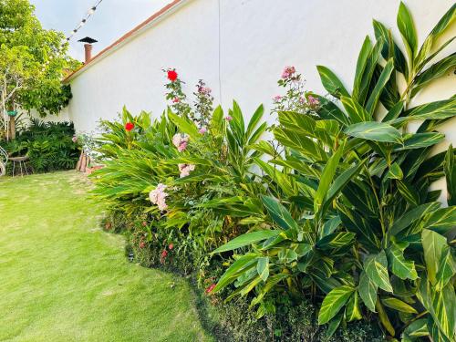 a garden of plants and flowers next to a house at Casa Victoria in Zapatoca
