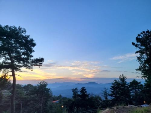 a view of a sunset from a hill with trees at Venetian Terra KM LAND VTKL 하동 금오산 랜드 숲 캠핑장 