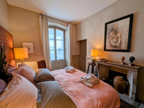 a bedroom with a bed and a fireplace and a window at Charmant appartement historique à Vesoul, avec WIFI et parking - FR-1-583-508 in Vesoul