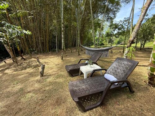 two chairs and a hammock in the woods at Hotel Selva Cristal in San Carlos