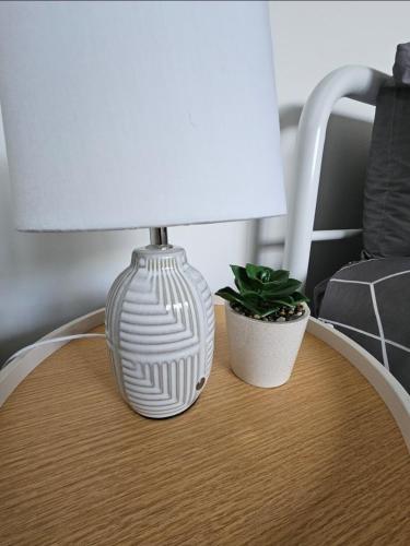 a table with a lamp and a plant on it at George Town Villa - Outdoor Alfresco - aircon FREE WIFI - Central location near MTB Trails in George Town