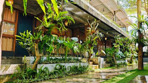 a building with a bunch of plants in front of it at Pondok Baruna Frangipani in Nusa Lembongan