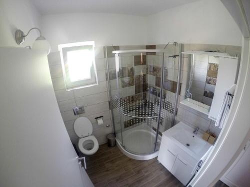 a bathroom with a shower and a toilet and a sink at Apartmani Tuheljske in Tuheljske Toplice