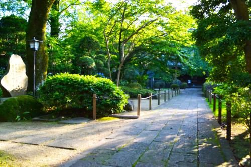 Taman di luar Ryokan Matsumuraya