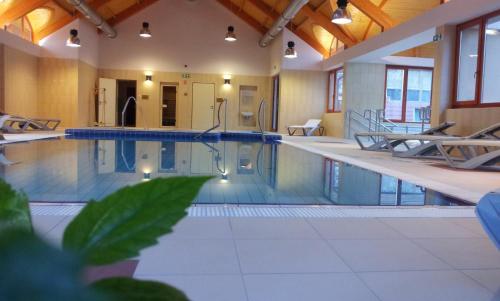a large swimming pool with chairs in a building at Fenyves Hotel Békéscsaba in Békéscsaba