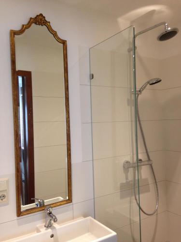 a bathroom with a shower with a sink and a mirror at Hofje7 in Groesbeek