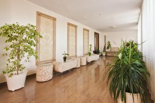a corridor with potted plants in a building at Hotel Ozana in Bistriţa