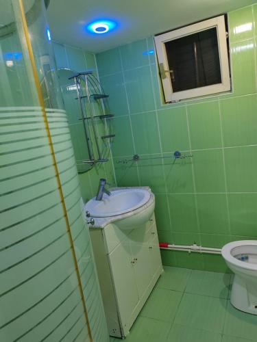 a green bathroom with a sink and a toilet at Soko S apartmani in Soko Banja