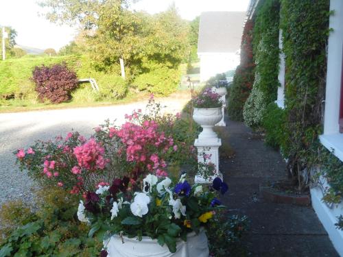 a bunch of flowers in buckets on the side of a street at River Meadows B&B in Kenmare