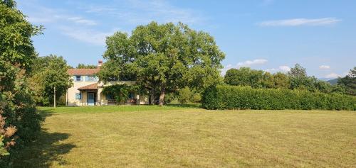 a large yard with a house and a tree at Karsolina in Štanjel