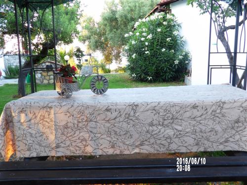 ポリフロノにあるPeristeridi Apartmentsの花鉢台