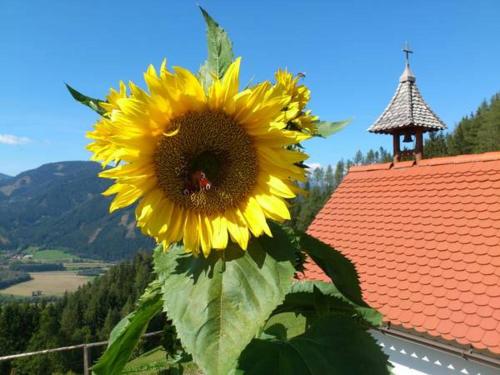 a sunflower with a bee on top of a building at BIO-Peisingerhof in Sankt Stefan ob Leoben