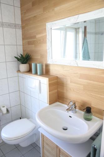 a bathroom with a sink and a toilet and a mirror at Ferienglück Rosenheim in Rosenheim