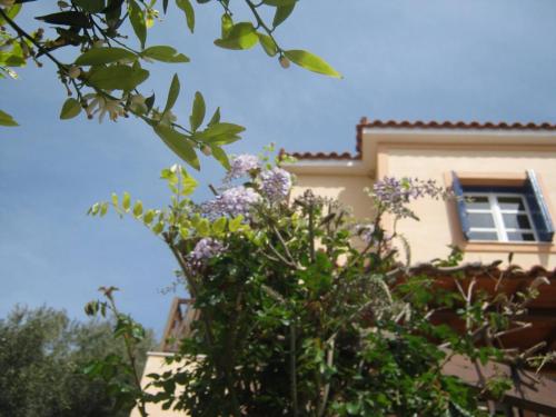 a house with a window and some purple flowers at Panorama Apartments in Marathokampos
