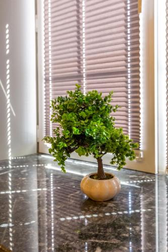 a small bonsai tree sitting on the floor next to a window at Capital City Hotel in Baku