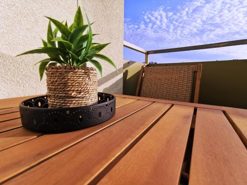 a plant sitting on top of a wooden table at Aquakaros Apartman Zalakaros in Zalakaros