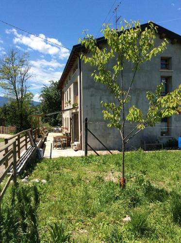 a small tree in front of a house at Il mondo roverso in Feltre