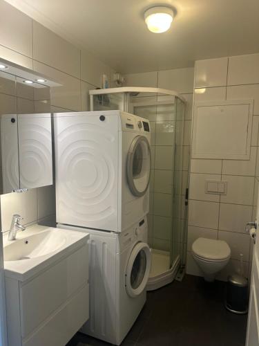 Ένα μπάνιο στο Alfred Apartment in Trondheim